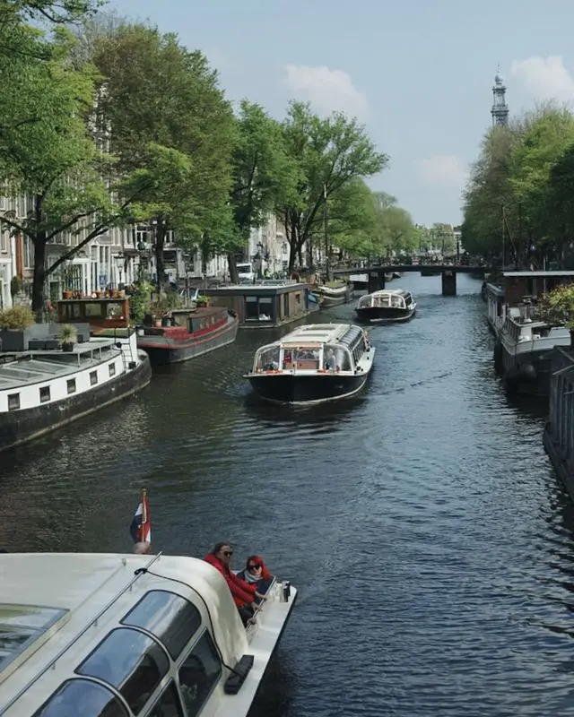 Tour boats and houseboats cruise through Amsterdam's Canal Ring lined with trees and historic canal houses.