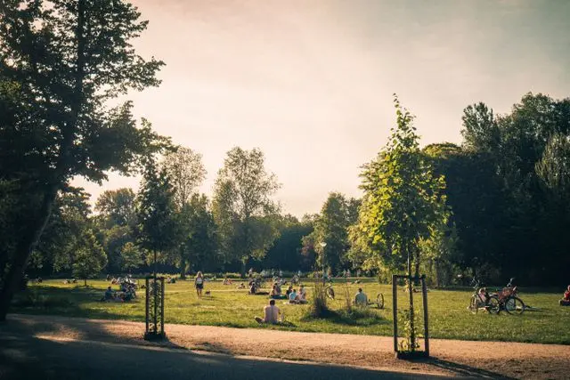 Visitors relaxing on the open lawns of Vondelpark during a sunny afternoon in Amsterdam.
