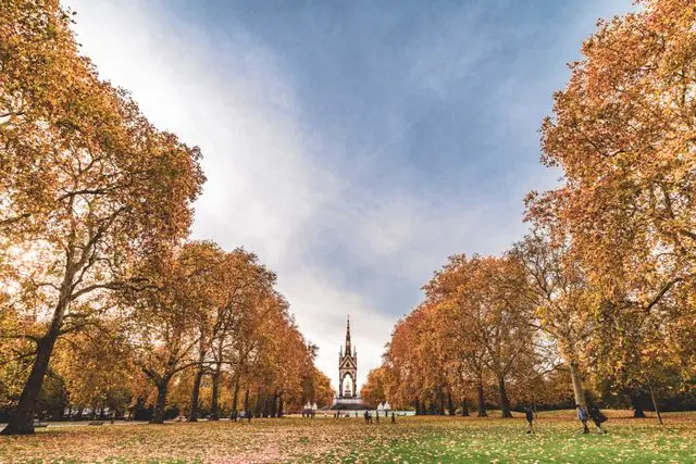 Hyde Park in autumn with golden trees framing a monument in the distance