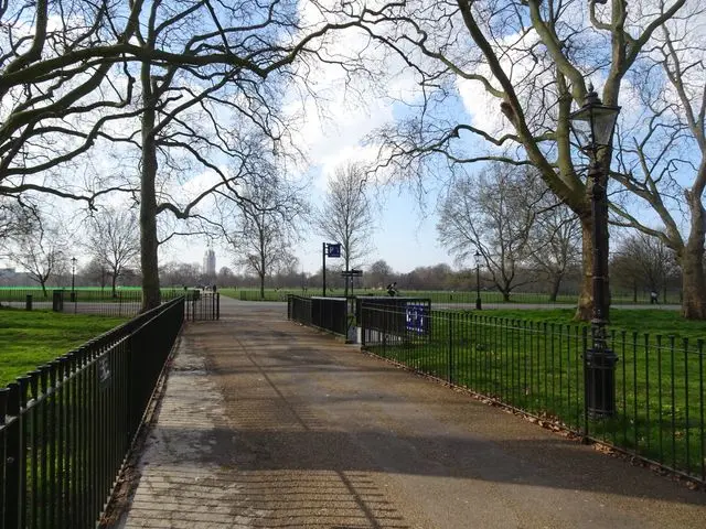 Peaceful pathway through Hyde Park lined with trees and black railings