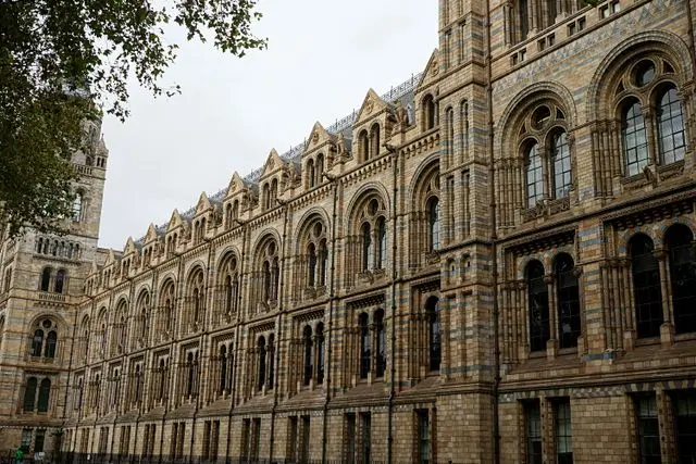 Historic stone façade of the Natural History Museum in London with Romanesque architectural details.