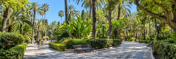 Málaga Park with shaded paths, tall palms, lush foliage and benches.