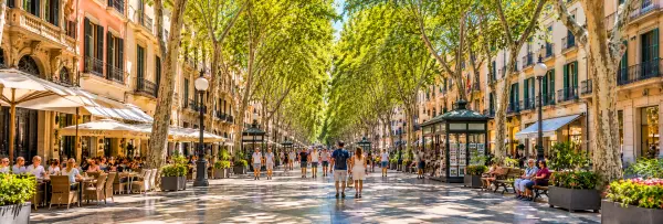 La Rambla in Palma de Mallorca, Spain, featuring a tree-lined promenade, outdoor cafés and historic buildings.