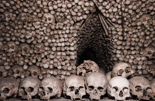Wall of human skulls and bones arranged inside the Paris Catacombs
