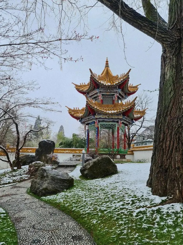Chinese pavilion at the Chinese Garden Zürich covered in snow
