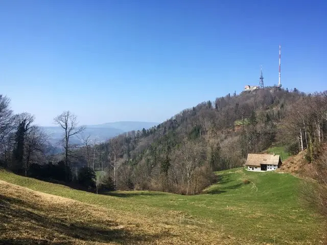 Uetliberg Mountain and radio tower rising above the forested hills near Zurich