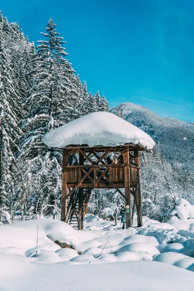 Snow-covered wooden viewing platform surrounded by forests in Kranjska Gora, Slovenia