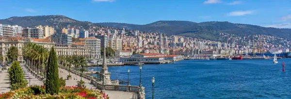 Vigo Spain waterfront with harbor, palm-lined promenade, hillside cityscape, and green mountains